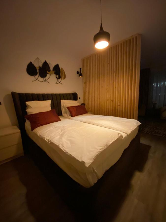 Dream Silver Mountain Apartment Poiana Brasov