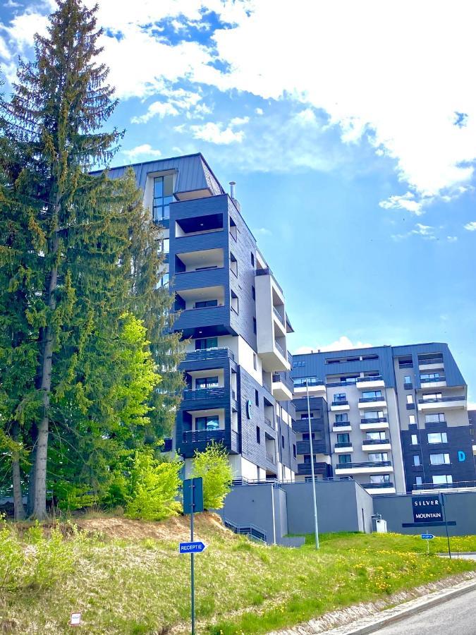 Dream Silver Mountain Apartment Poiana Brasov