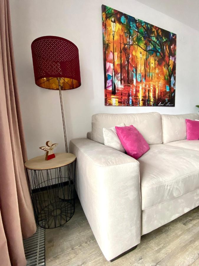 Dream Silver Mountain Apartment Poiana Brasov